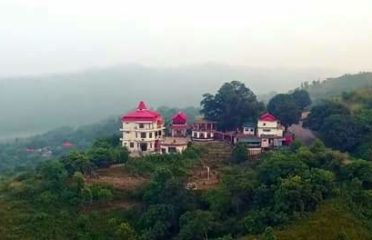 Dee Jay Dhaliara, Kangra