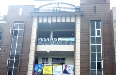 Pegasus Institute