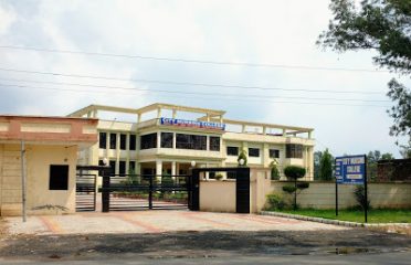 City Nursing College