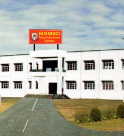 BSM SD RAJPUT PUBLIC SCHOOL