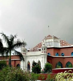 DAV College