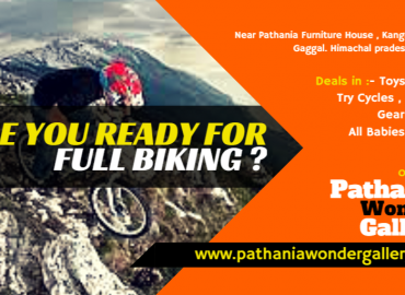 Pathania Wonder Gallery