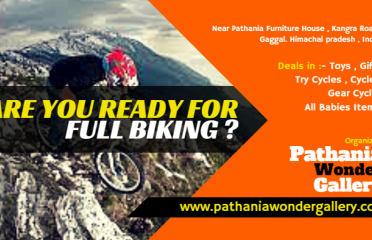 Pathania Wonder Gallery