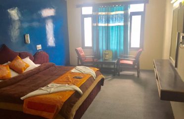 Hotel Manali Castle