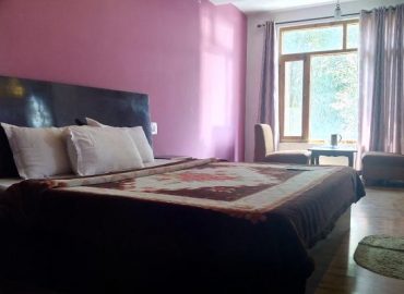 Hotel Silvermoon Manali