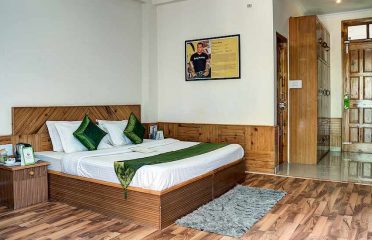 Treebo Trend Celebriti – hotel in Old Manali