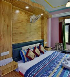 Hotel Vikrant Inn Manali