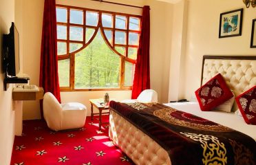 Hotel Vintage Manali