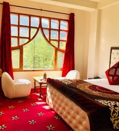 Hotel Vintage Manali