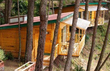 Kasauli Hills Resort