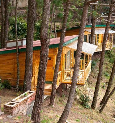 Kasauli Hills Resort