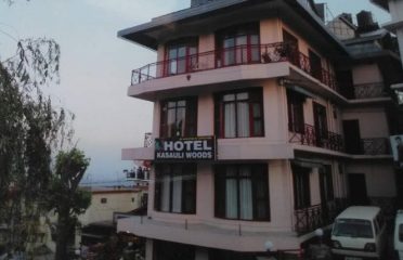 Hotel Kasauli Woods