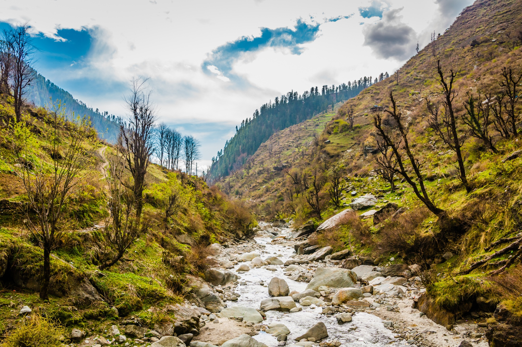 triund-dharamshala-himachal-pradesh-himkhoj