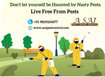 A Sai Pest Control