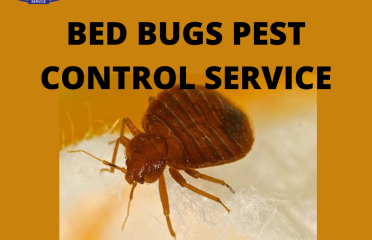 Natural Pest Control