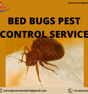 Natural Pest Control