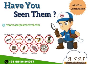 A Sai Pest Control