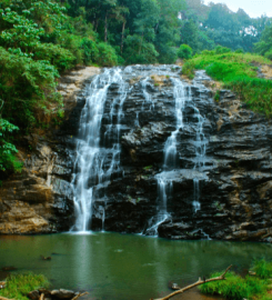 Luxury resorts in coorg | Homestay in coorg