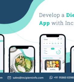 Web & Mobile App Development Company –  Incipient Info