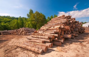 Modern Timber Industries