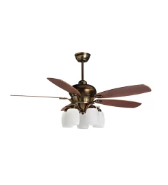 Magnific Designer Fans