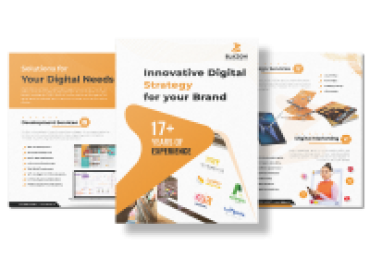 Web app development srvices in coimbatore | Blazon