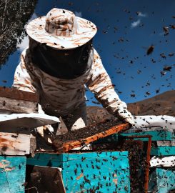 Pest Control Service in Melbourne