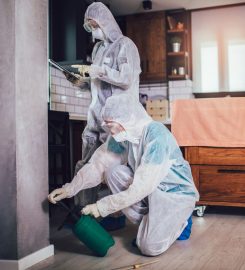 Pest Control Service in Melbourne