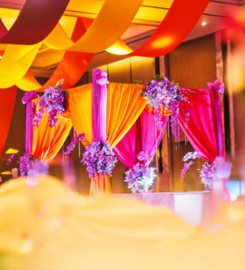 DWP – Best Wedding Planners in Dehradun | Venue Booking, Catering & Decor | Complete Solutions