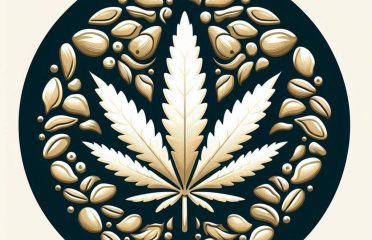 Top-Rated White Widow Cannabis Seeds