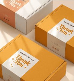 Custom Stickers Printing – Tagsen