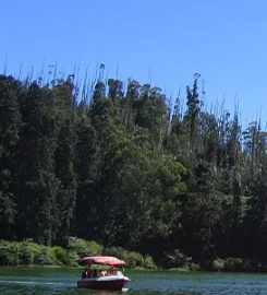 A Refreshing Hill Getaway with Ooty Kodaikanal Family Tour Packages from Bangalore