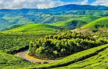 A Refreshing Hill Getaway with Ooty Kodaikanal Family Tour Packages from Bangalore