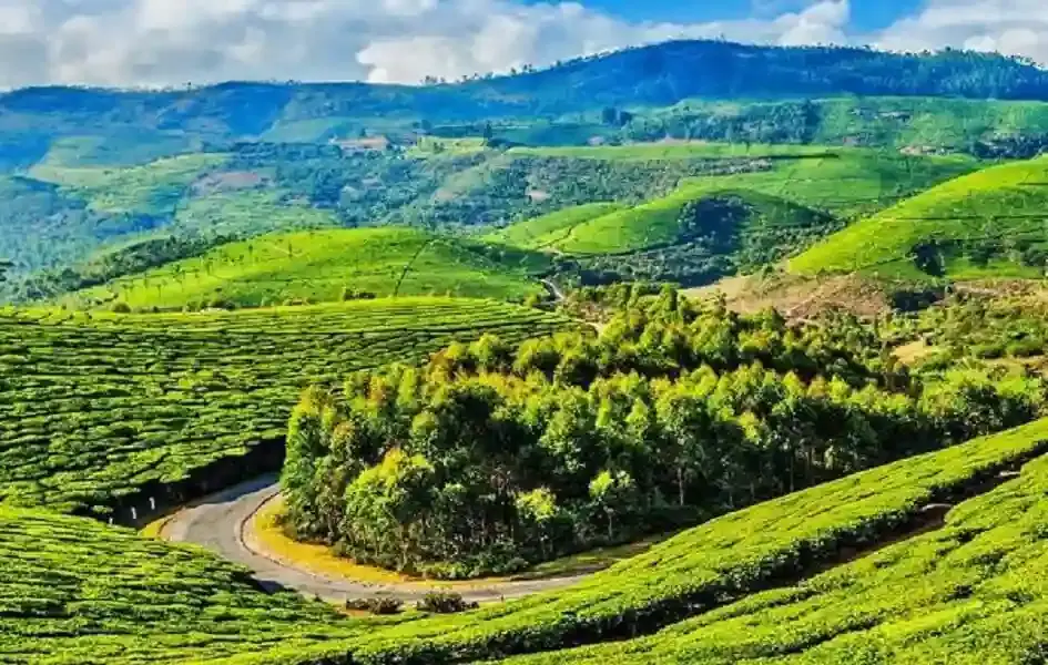 A Refreshing Hill Getaway with Ooty Kodaikanal Family Tour Packages from Bangalore